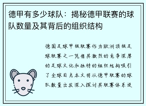 德甲有多少球队：揭秘德甲联赛的球队数量及其背后的组织结构