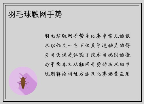 羽毛球触网手势