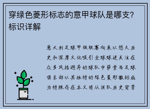 穿绿色菱形标志的意甲球队是哪支？标识详解